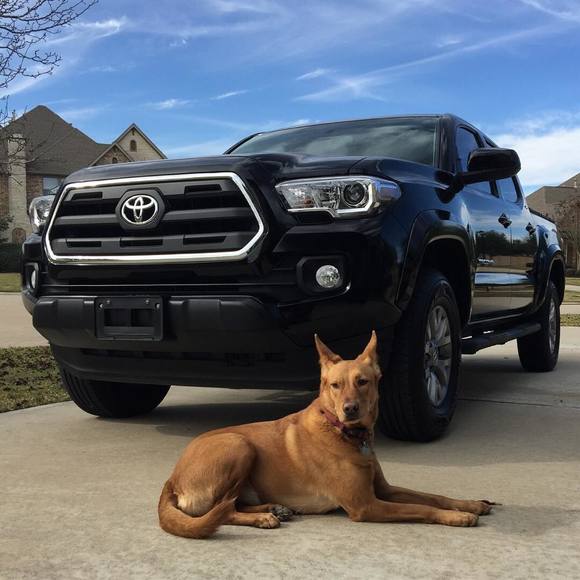 Meet your Posher, Tom - Picture 1 of 1